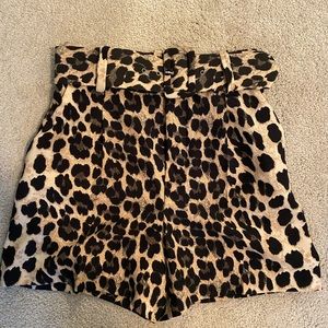 Zara Cheetah print high waisted belted shorts